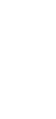 WildChina